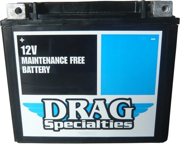 DS AGM Maintenance Free Battery #212245 - Image 1 of 1