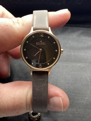 Reloj Skagen SKW2267 correa de cuero gris  Foto 1 de 4