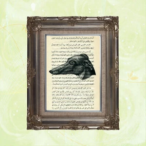 Book Page Art Print: Greyhound on Vintage Arabic Text - Picture 1 of 2
