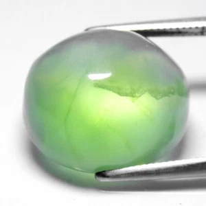 💎 Cabochon ovale 14,29 ct 15,5 x 13,8 mm prehnite verde naturale - Africa - Foto 1 di 10