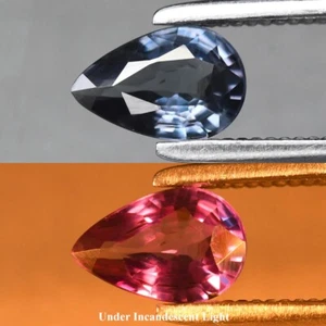๐ 0.45ct 6x4mm VVS Pear Natural Color Change Garnet - Unheated, Madagascar Gem - Picture 1 of 6
