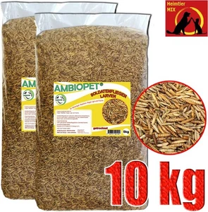 Hermetia Soldatenfliegenlarven 10 kg wie Mehlwürmer Black Soldier Fly Koi Vögel - Bild 1 von 1