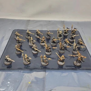 Warhammer 40k Aeldari x24 ulthwe eldar BIEN PINTADO Encargado. w2 - Imagen 1 de 9