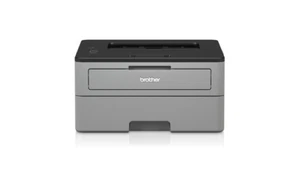 NUOVA Stampante a Laser BROTHER Bianco E NeRo HL 2310 Usb per USO DOMESTICO A4 - Foto 1 di 6