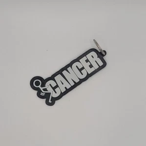 Fu*k Cancer Car Keychain Funny Survivor Chemo Battle - Picture 1 of 3
