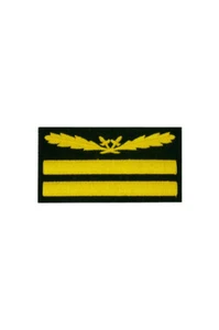 WWII German Heer Lt General Camo Sleeve Rank - Picture 1 of 1