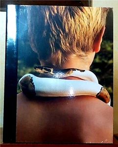 No Small Thing, Desire by Bruce Weber, All-American XIX - Picture 1 of 2