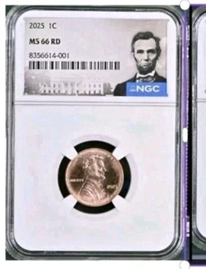 2025 P Lincoln Shield Cent NGC MS66 RD! - Picture 1 of 1