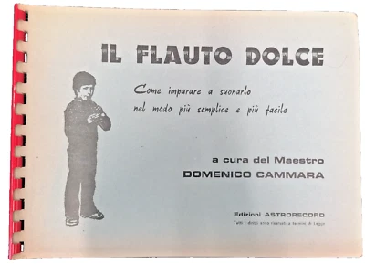 Il Flauto Dolce Come Imparare a suonarlo Didattica Musicale Maestro Cammara - Immagine 1 di 4
