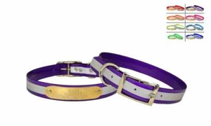 WARNER SPORT REFLEKTIERENDES DAYGLO HUNDEHALSBAND LILA 19" KOSTENLOSE GRAVUR AUSWEISSCHILD - Bild 1 von 4