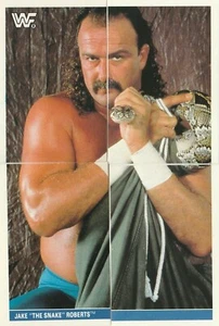 1991 DIAMOND SUPERSTARS WRESTLING STICKERS ~ JAKE THE SNAKE ROBERTS ~ 4 STICKERS - Picture 1 of 2