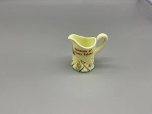 Antiguo soporte para palillo de dientes de vidrio natillas jarra recuerdo Coney Island NYC - Imagen 1 de 6
