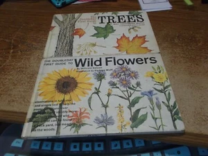 Doubleday First Guide to Trees and Wild Flowers - 1st Editions - 1964 - Bild 1 von 16