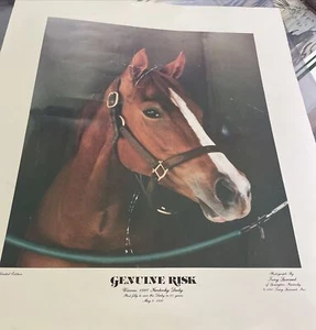 Genuine Risk Limited Edition 1981 Print - Picture 1 of 5
