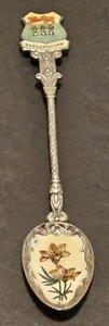 Souvenir Saskatchewan Silver Spoon Enamel Vintage Like New - Foto 1 di 5