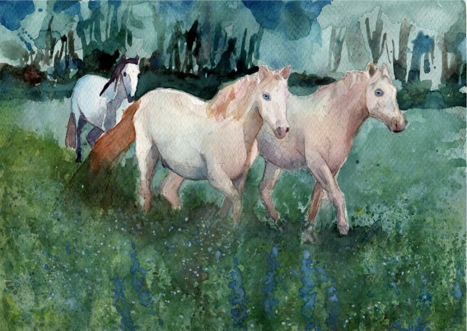 Horses of Santa Cruz Island No. 4 :  SIGNED LE Art Print:  Sandra Watercolors™ - Image 1 of 1