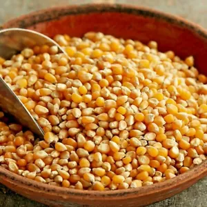 1KG kg Popcorn Pop Corn Maize Seeds Raw Popping Kernels NON- GMO kilo - Picture 1 of 1