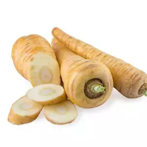 50 Seeds of Half-Long Guernsey Parsnip, Pastinaca sativa - Picture 1 of 1