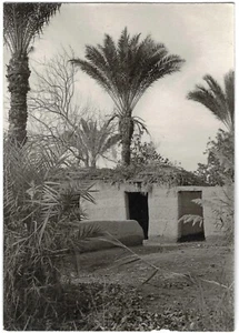 Tierra de Goshen Sinaí Occidental Foto Original Guerra de Yom Kipur 1973 Israel FDI Zahal - Imagen 1 de 2