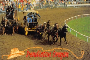 Postcard OR: Pendleton Roundup, Oregon, Posted 1993, 4x6 - Picture 1 of 2
