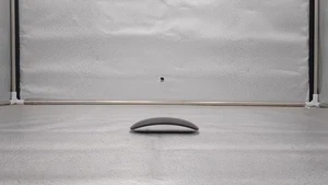 Apple Magic Mouse - Black Multi-touch Surface - Picture 1 of 5