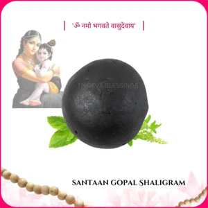 Adbhut Santaan Gopal Shaligram Shila - EBS86 - Imagen 1 de 3
