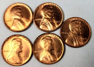 Lot 5 Wheat Penny 1955 CRACKED SKULL ERROR NICE RED BU 1955-P UNC   Lincoln Cent - Image 1 of 4