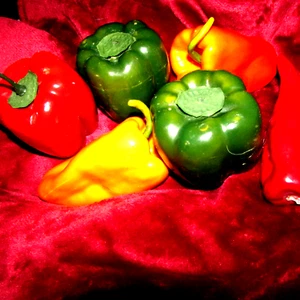 ARTIFICIAL VEGETABLES 6 peppers - Average height 3.5" (top bx C)  - Picture 1 of 3