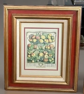 F60210EC: Colonial Williamsburg September Framed Botanical Anniversary Print - Picture 1 of 9