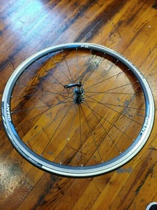 Giant P-R2 ERD 590 Bike Tire 25" - Picture 1 of 6