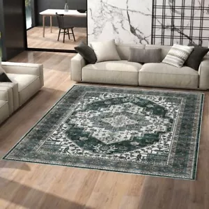Modern Rugs Area Rug Carpet Floor Decor Large Indoor Washable Non Slip Carpets - Picture 1 of 10