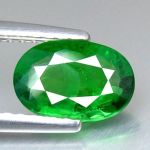 Granate tsavorita verde ovalado de 1,08 quilates 7,0 x 5,4 mm 100 % piedras preciosas naturales sin calefacción - Imagen 1 de 3