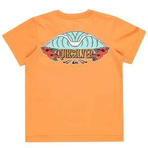 Quiksilver Kids Tropical Fade Short Sleeve Crew Neck T-Shirt - White - 5 Yrs - Picture 1 of 2