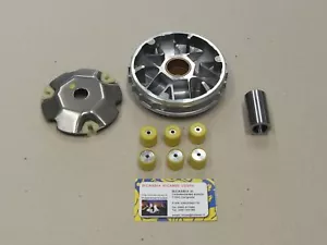 0876 - Variator RMS Piaggio 150 Liberty Skipper - Bild 1 von 1