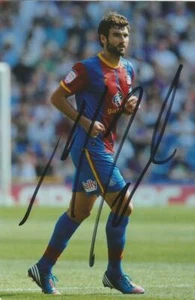 CRYSTAL PALACE: MILE JEDINAK SIGNED 6x4 ACTION PHOTO+COA - Picture 1 of 1
