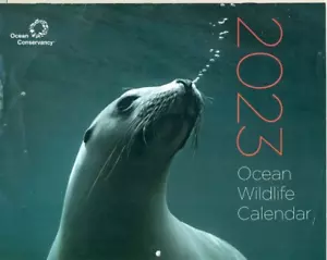 COLLECTIBLE CALENDAR - 2023 - OCEAN WILDLIFE - TURTLE - SEAL - PELICAN - Picture 1 of 2
