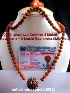 Certificado de laboratorio 8 Mukhi Rudraksha/Ocho caras Rudraksh-Cuentas Java Mala genuinas - Imagen 1 de 2