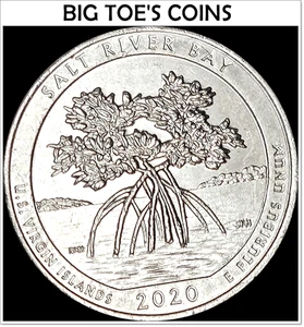 2020-W RARE SALT RIVER WASHINGTON QUARTER, WEST POINT MINT, VERY BEAUTIFUL COIN - Bild 1 von 2