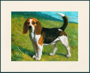 BEAGLE HUND SCHÖNER STEHENDER HUND DRUCK RAHMENFERTIG MONTIERT - Bild 1 von 1