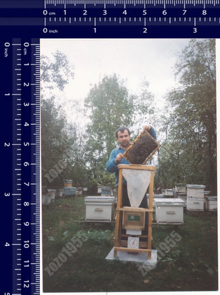 1998 Beekeeper with Honeycomb Frame Apiary Beekeeping Bees vintage color photo - Image 1 of 2