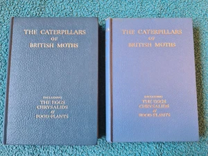 Wayside & Woodland, The Caterpillars of British Moths x 2 vols, 1958 new edition - Foto 1 di 22