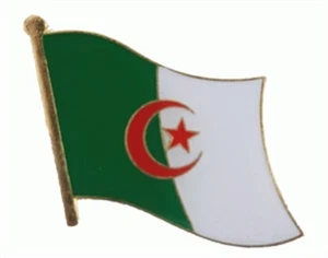 Alfiler de bandera Argelia enchufe alfiler bandera bandera - Imagen 1 de 1