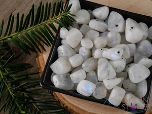 MOONSTONE Small Tumbled Crystal Chips - Gemstones, Jewelry Making, E1117 - Picture 1 of 6