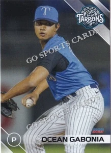 2023 Tampa Tarpons Ocean Gabonia RC Rookie Card Yankees Minor League Hawaii - Bild 1 von 1