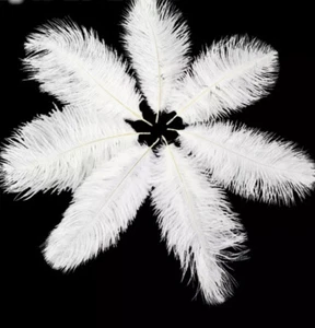 50pcs White Ostrich Feathers 15-20cm DIY Craft Millinery Costume Wedding - Picture 1 of 4