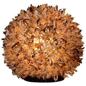 Designer Muschel Lampe Soneva Nachttisch Klein Beistelllampe Asiatisch Leuchte - Bild 1 von 7