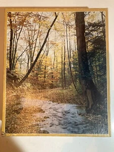 Sealed OCTOBER SCENE Whitman 1500 Piece Jigsaw Puzzle GUILD nos - Picture 1 of 3
