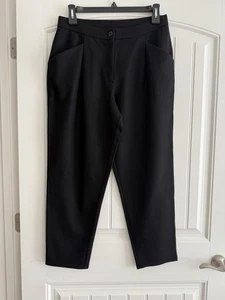 NEW EILEEN FISHER BOILED WOOL PLEATED ZIP FRONT POCKETS PANTS SIZE  PL/PG - Picture 1 of 8