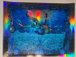 PHISH COMPANION 3rd Ed 1.0 ERA RUTHERFORD #319/600 WELKER Poster Print FOIL - Picture 1 of 5