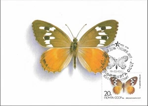 Satyrus Bischoffi Butterfly Nature Russia Mint Maxi FDC Card 1986 - Picture 1 of 1